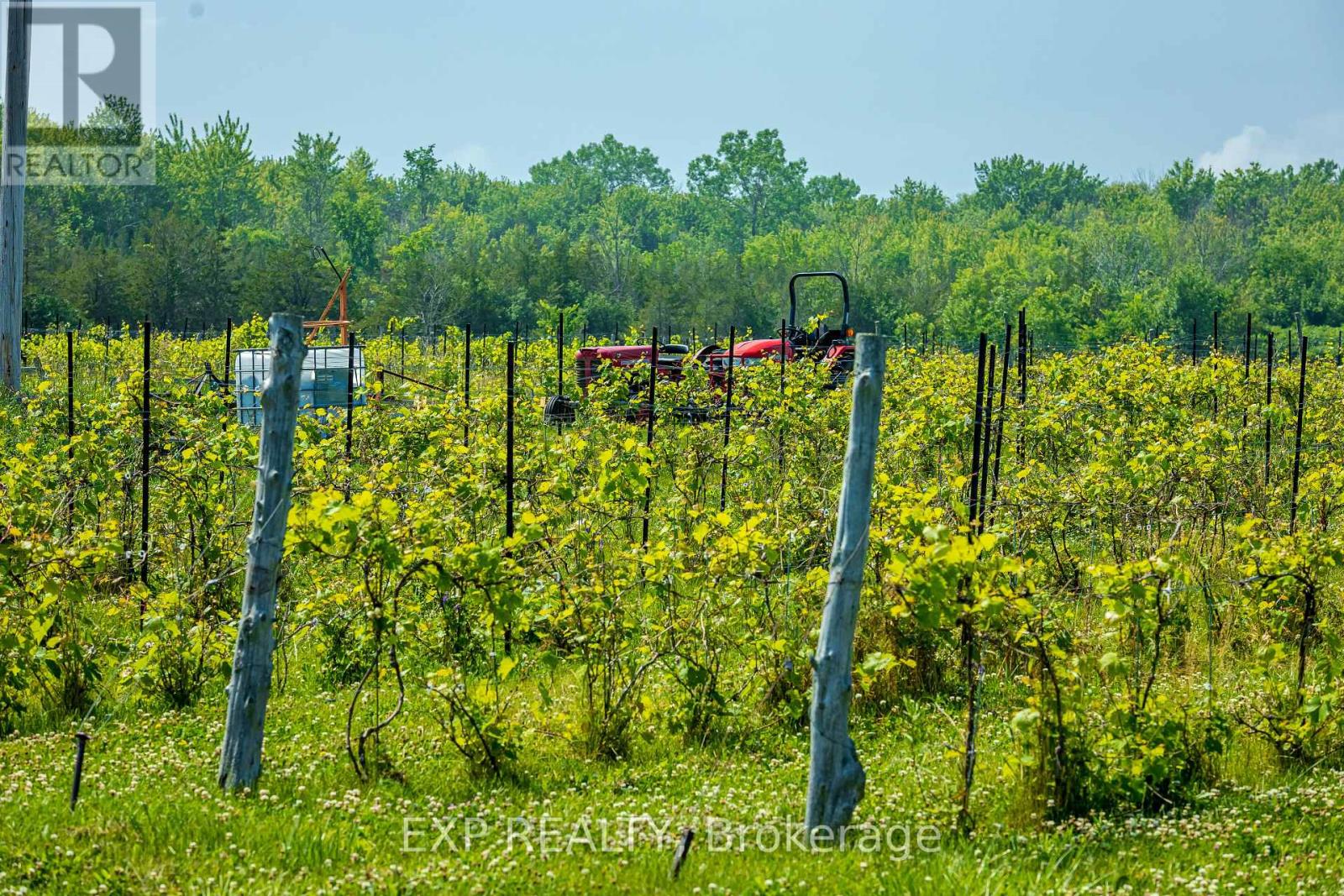 3609 County Road 8, Prince Edward County, Ontario  K0K 2T0 - Photo 37 - X12307172