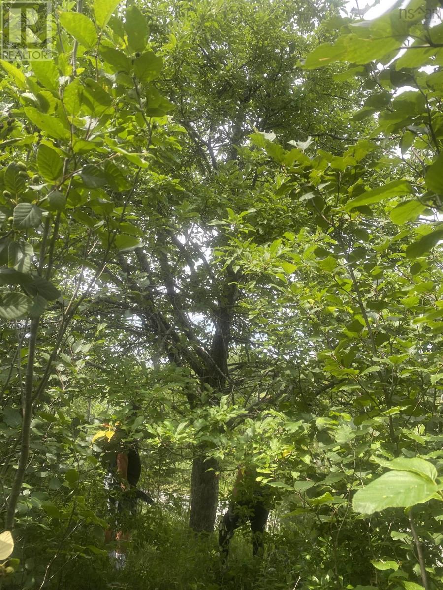 Lot Cornwall Road, Lower Cornwall, Nova Scotia  B0J 2E0 - Photo 2 - 202517971