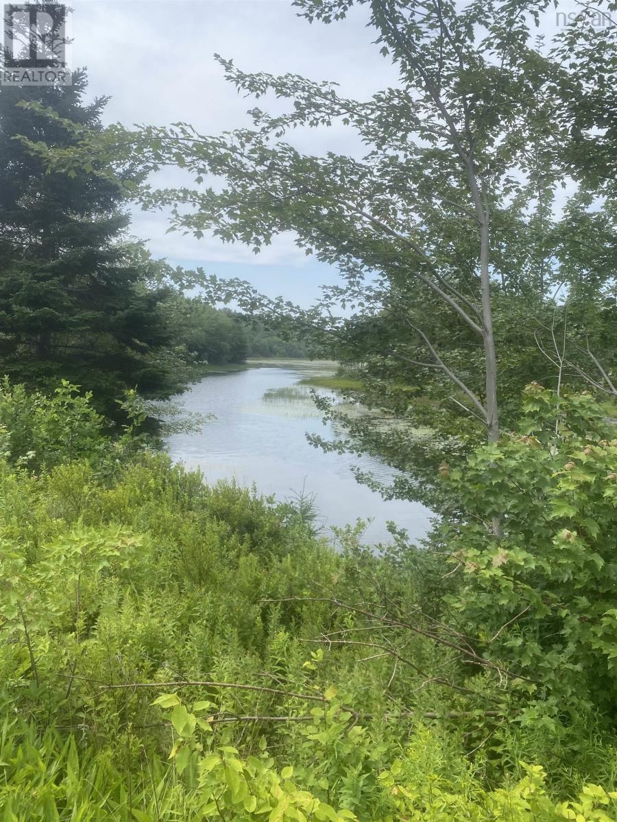 Lot Cornwall Road, Lower Cornwall, Nova Scotia  B0J 2E0 - Photo 4 - 202517971