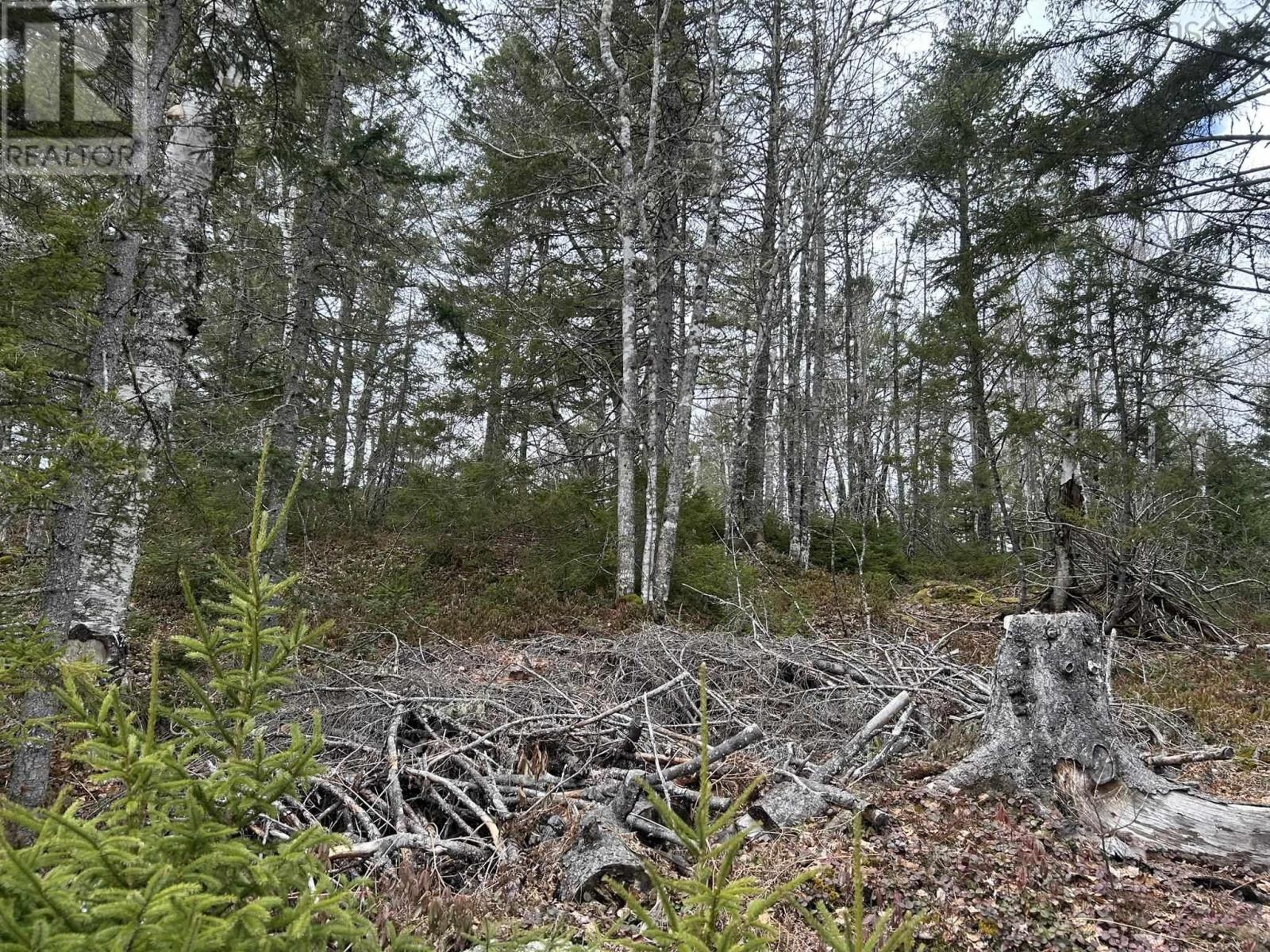 Lot A-2 Blue Lane, Aylesford Lake, Nova Scotia  B4N 3V8 - Photo 11 - 202507566