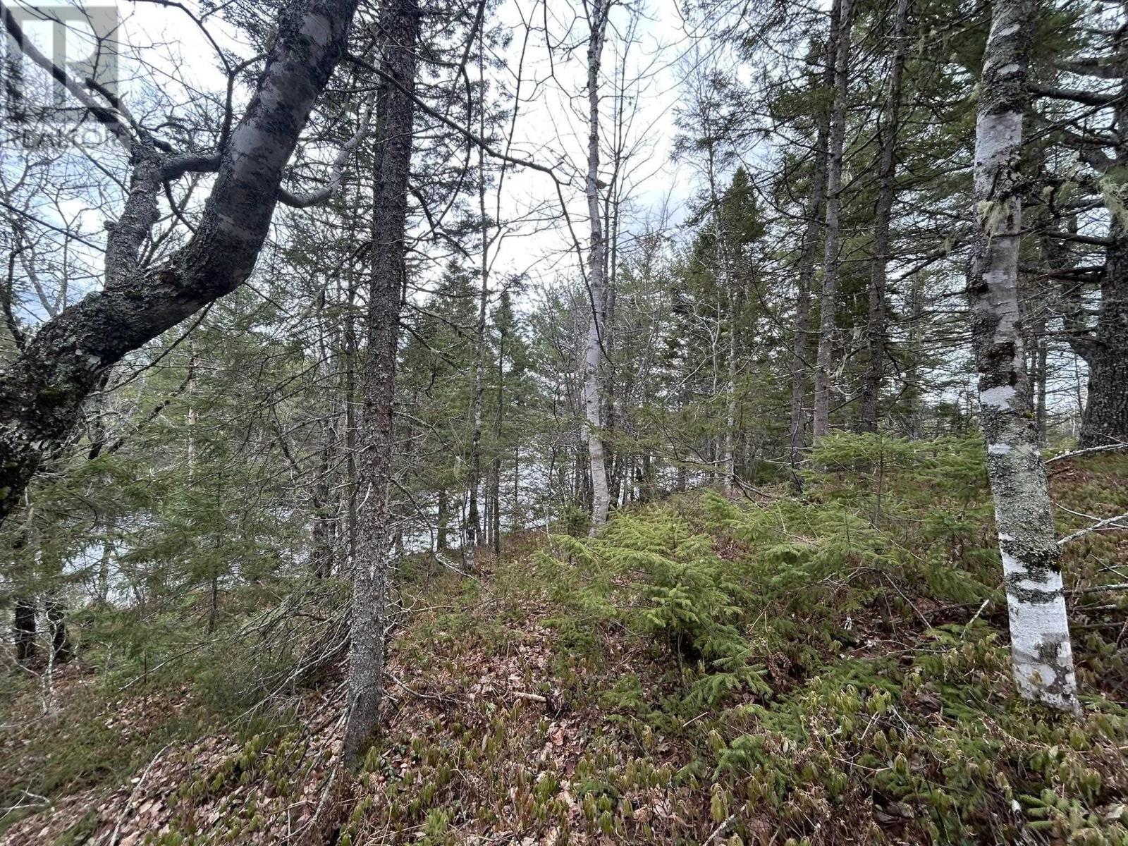 Lot A-2 Blue Lane, Aylesford Lake, Nova Scotia  B4N 3V8 - Photo 14 - 202507566
