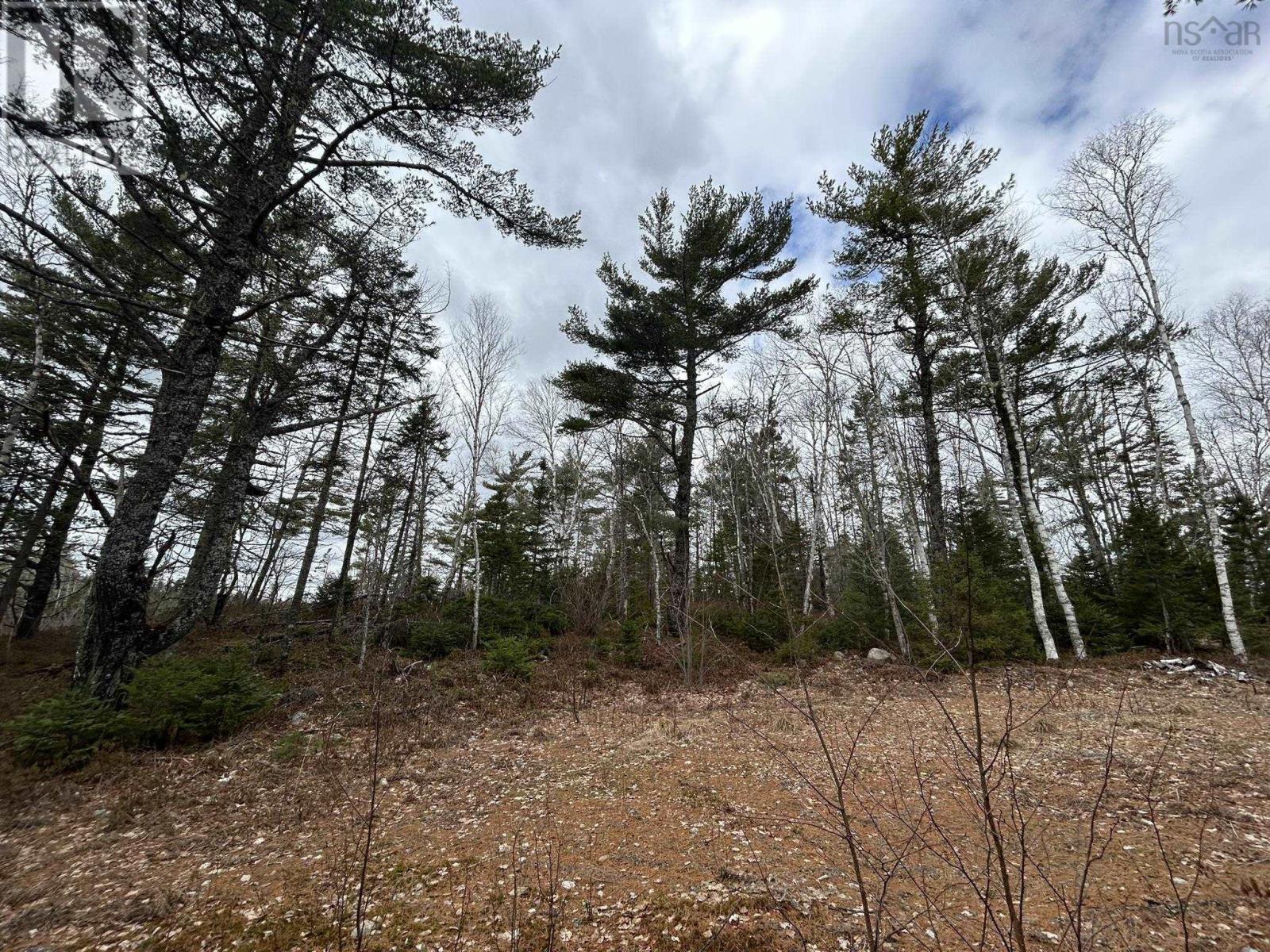 Lot A-2 Blue Lane, Aylesford Lake, Nova Scotia  B4N 3V8 - Photo 15 - 202507566