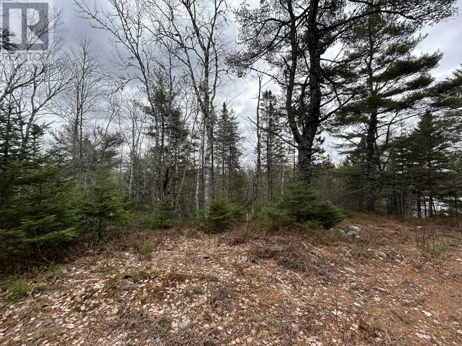 Lot A-2 Blue Lane, Aylesford Lake, Nova Scotia  B4N 3V8 - Photo 19 - 202507566