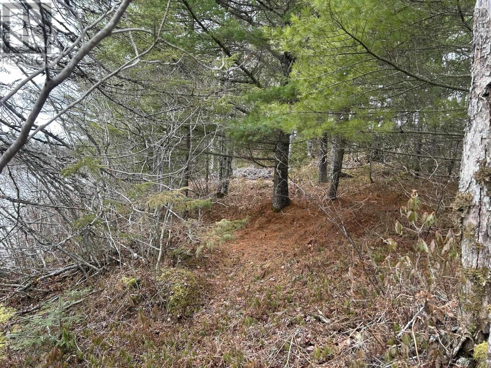 Lot A-2 Blue Lane, Aylesford Lake, Nova Scotia  B4N 3V8 - Photo 13 - 202507566