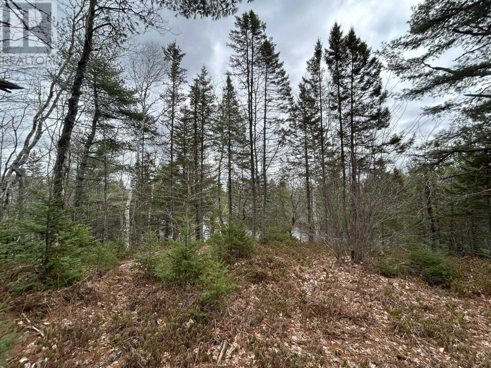 Lot A-2 Blue Lane, Aylesford Lake, Nova Scotia  B4N 3V8 - Photo 17 - 202507566