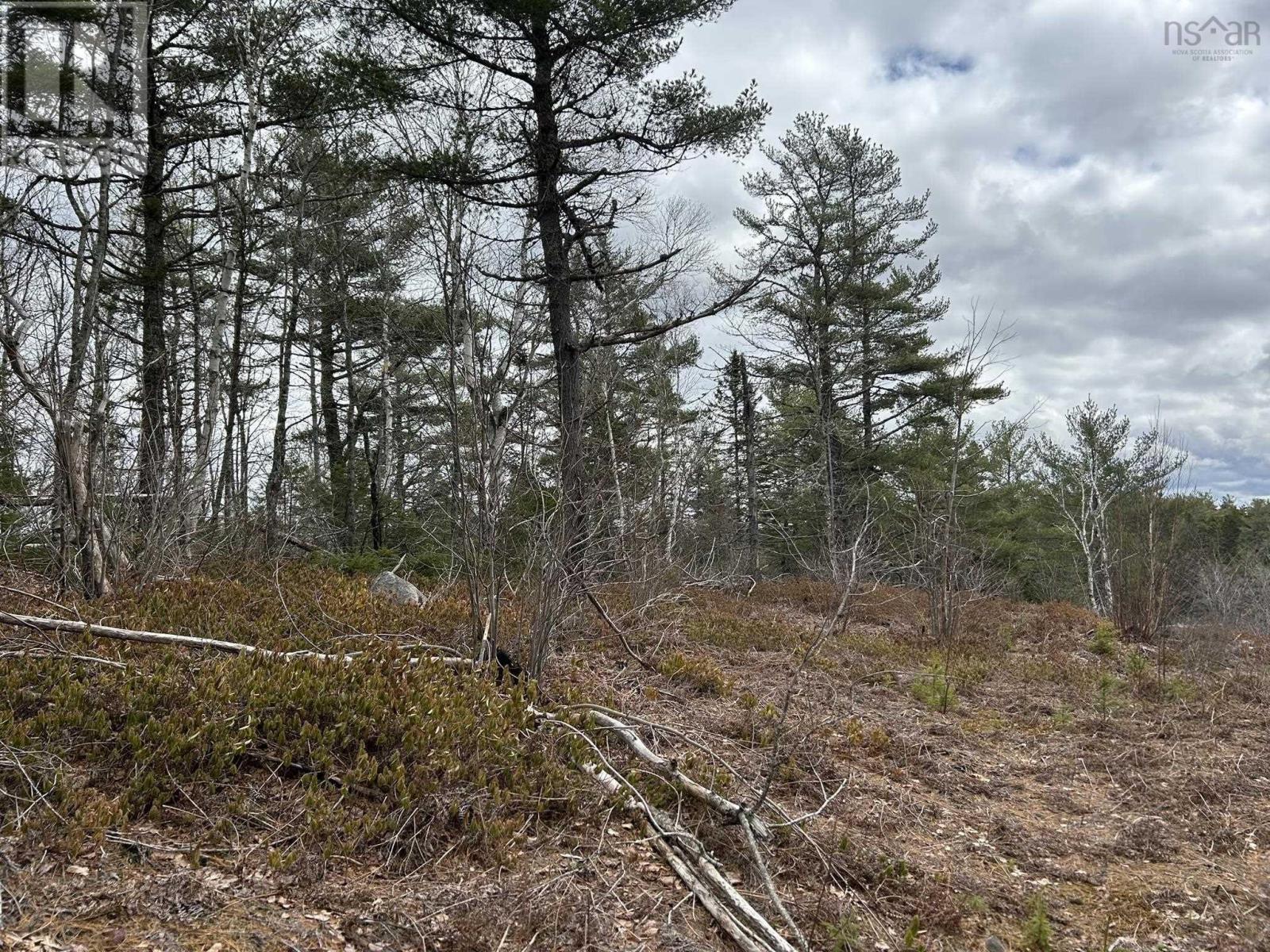 Lot A-2 Blue Lane, Aylesford Lake, Nova Scotia  B4N 3V8 - Photo 6 - 202507566