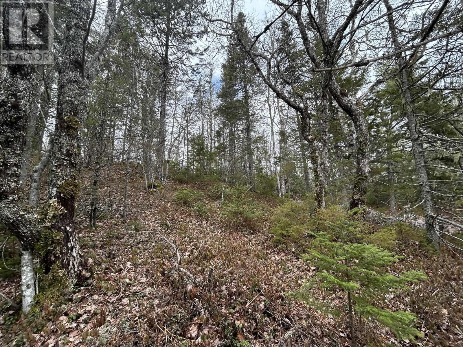 Lot A-2 Blue Lane, Aylesford Lake, Nova Scotia  B4N 3V8 - Photo 8 - 202507566