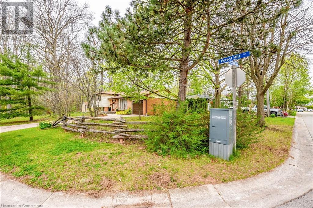 Property at 122 FOREST HILL Road image 3