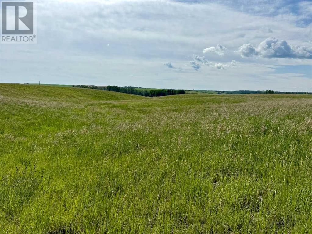 Rr40 South Of Twp Rd 293, Rural Mountain View County, Alberta  T0M 0S0 - Photo 10 - A2216785