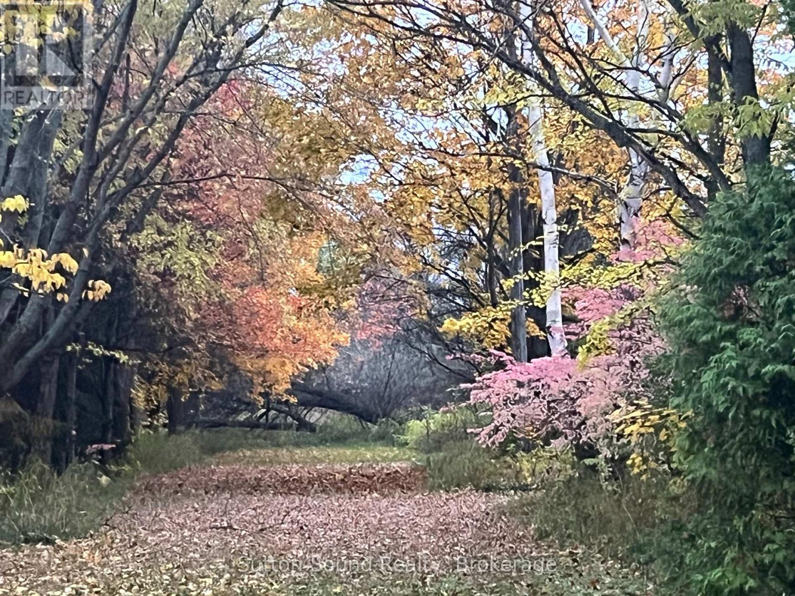382105 17 Concession, Georgian Bluffs, Ontario  N0H 2T0 - Photo 22 - X12154628