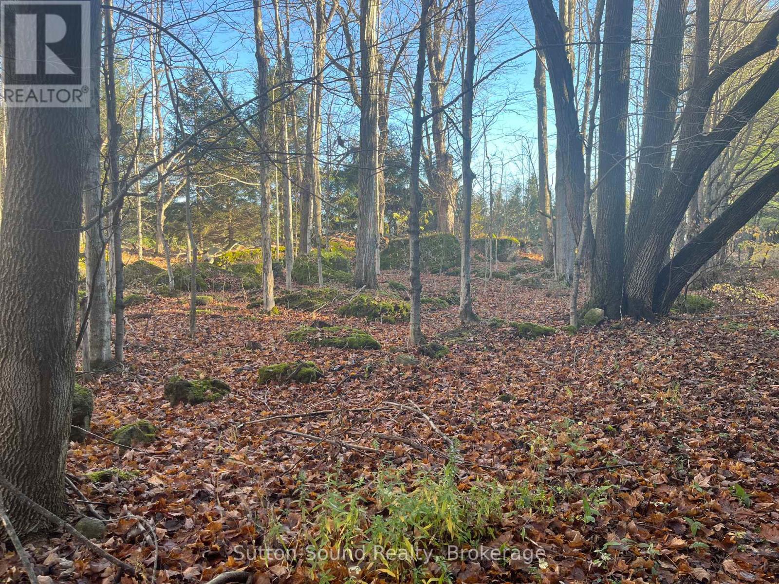 382105 17 Concession, Georgian Bluffs, Ontario  N0H 2T0 - Photo 31 - X12154628