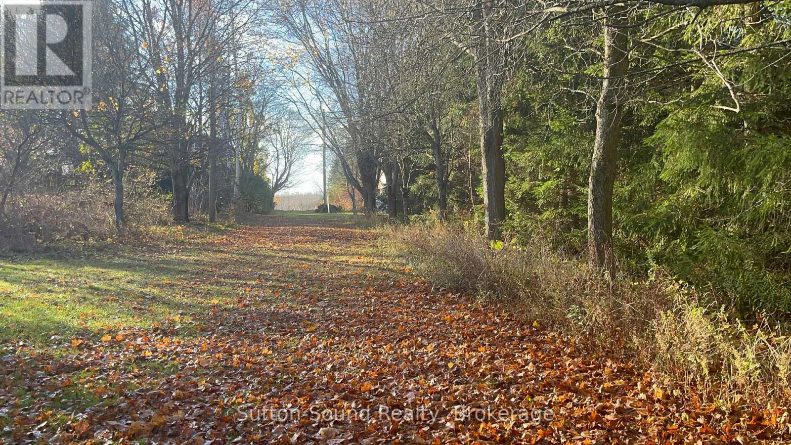 382105 17 Concession, Georgian Bluffs, Ontario  N0H 2T0 - Photo 29 - X12154628