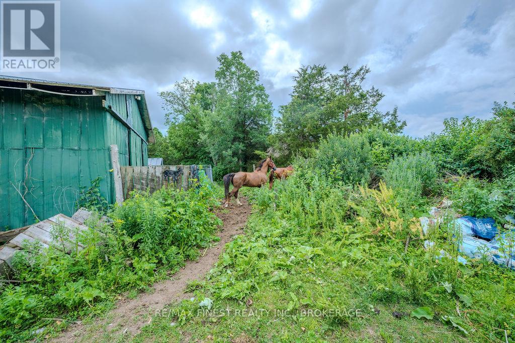 142 Cooks Road, Greater Napanee, Ontario  K0K 2W0 - Photo 39 - X12307688