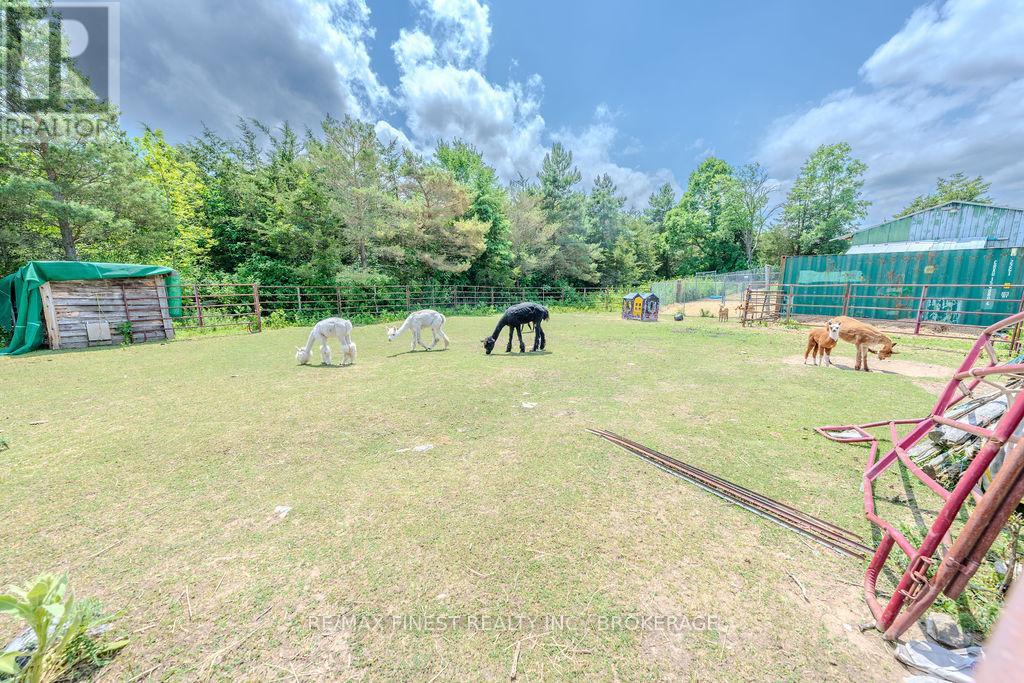 142 Cooks Road, Greater Napanee, Ontario  K0K 2W0 - Photo 50 - X12307688