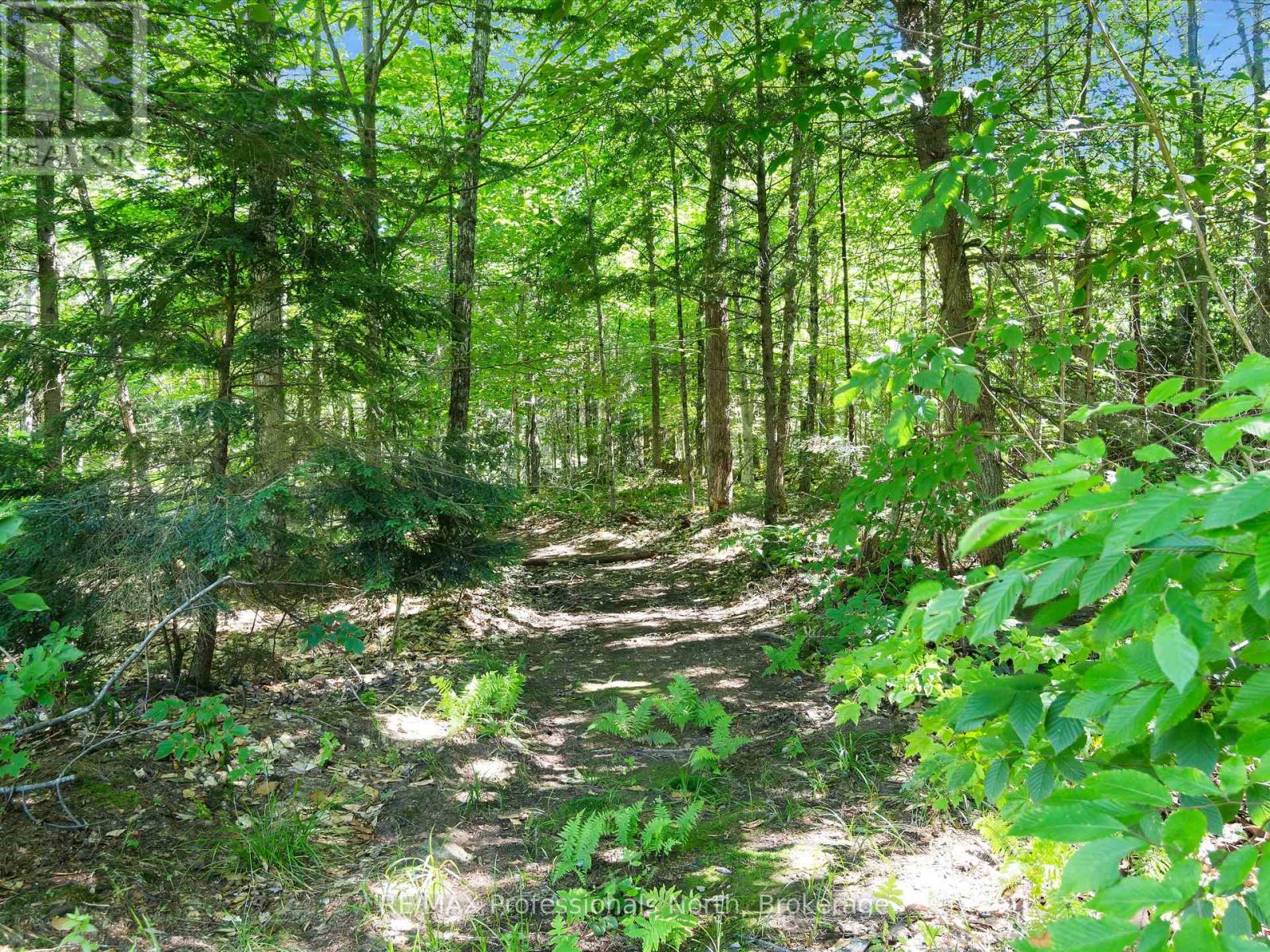 1224 Peterson Road, Bracebridge, Ontario  P1L 1X1 - Photo 49 - X12307551