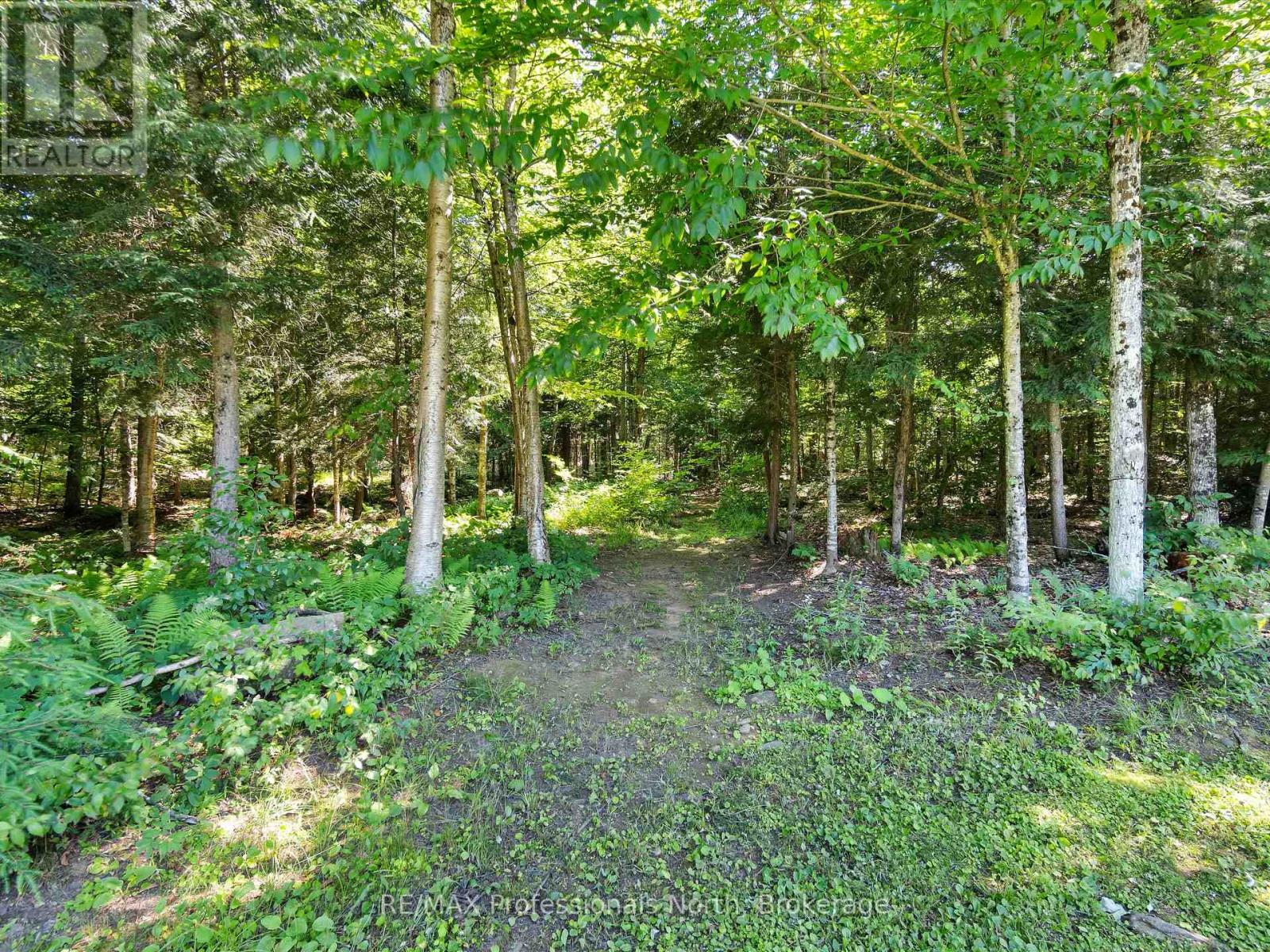 1224 Peterson Road, Bracebridge, Ontario  P1L 1X1 - Photo 50 - X12307551