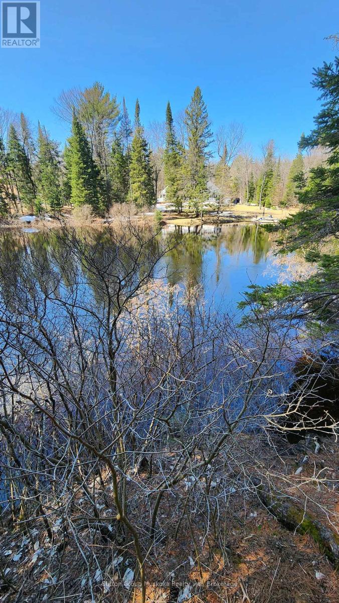 00 Red Pine Trail, Bracebridge, Ontario  P0B 1L0 - Photo 2 - X12307641