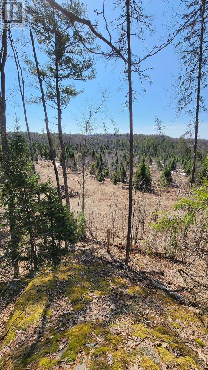 00 Red Pine Trail, Bracebridge, Ontario  P0B 1L0 - Photo 5 - X12307641