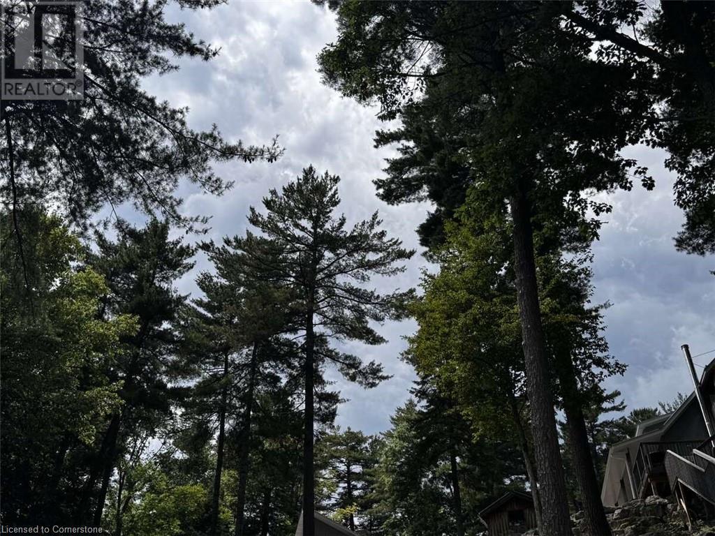 4 Stackwall Lane, Calabogie, Ontario  K0J 1H0 - Photo 40 - 40754800