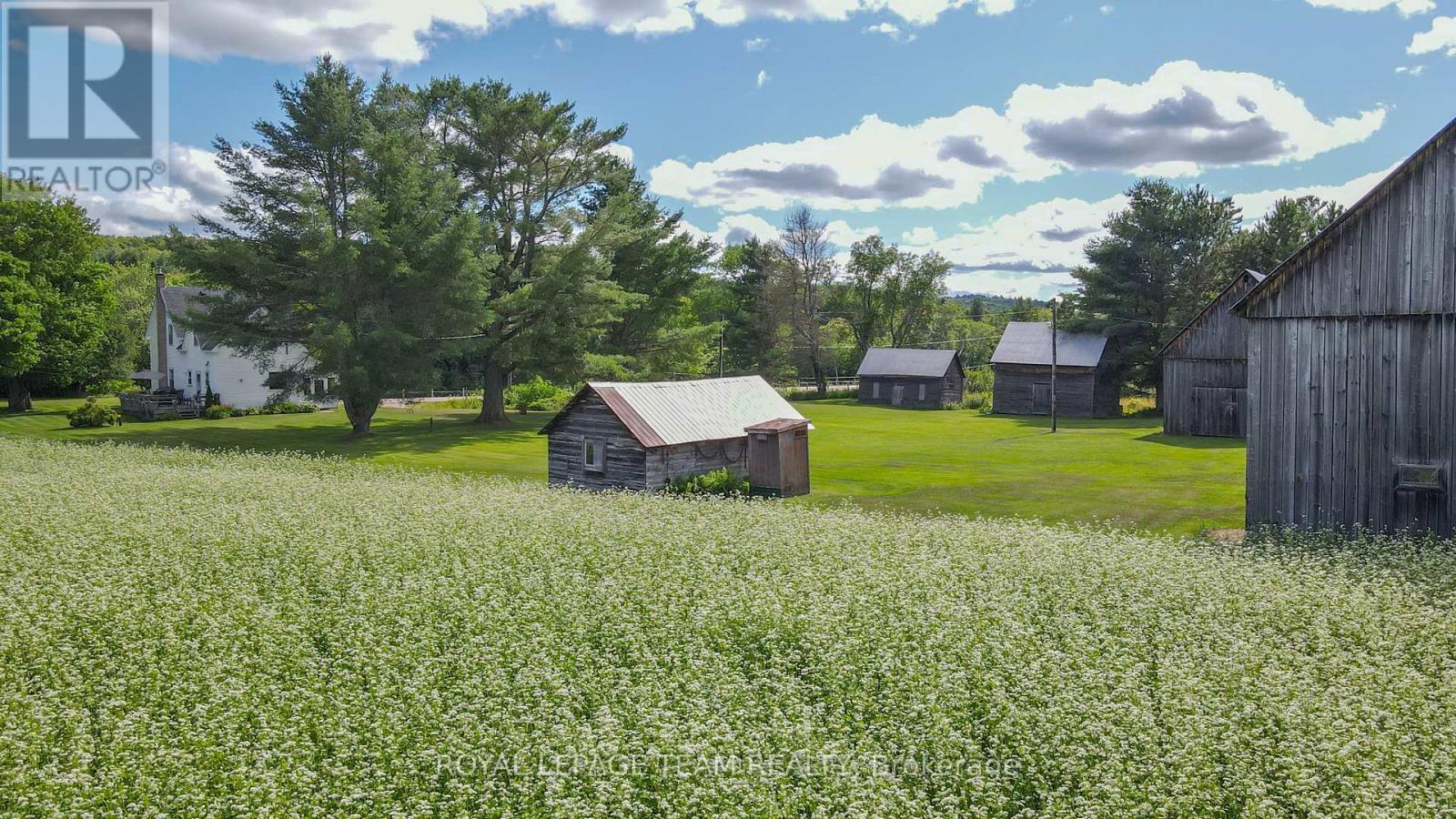 4822 Palmer Road, Brudenell, Ontario  K0J 2E0 - Photo 16 - X12307775