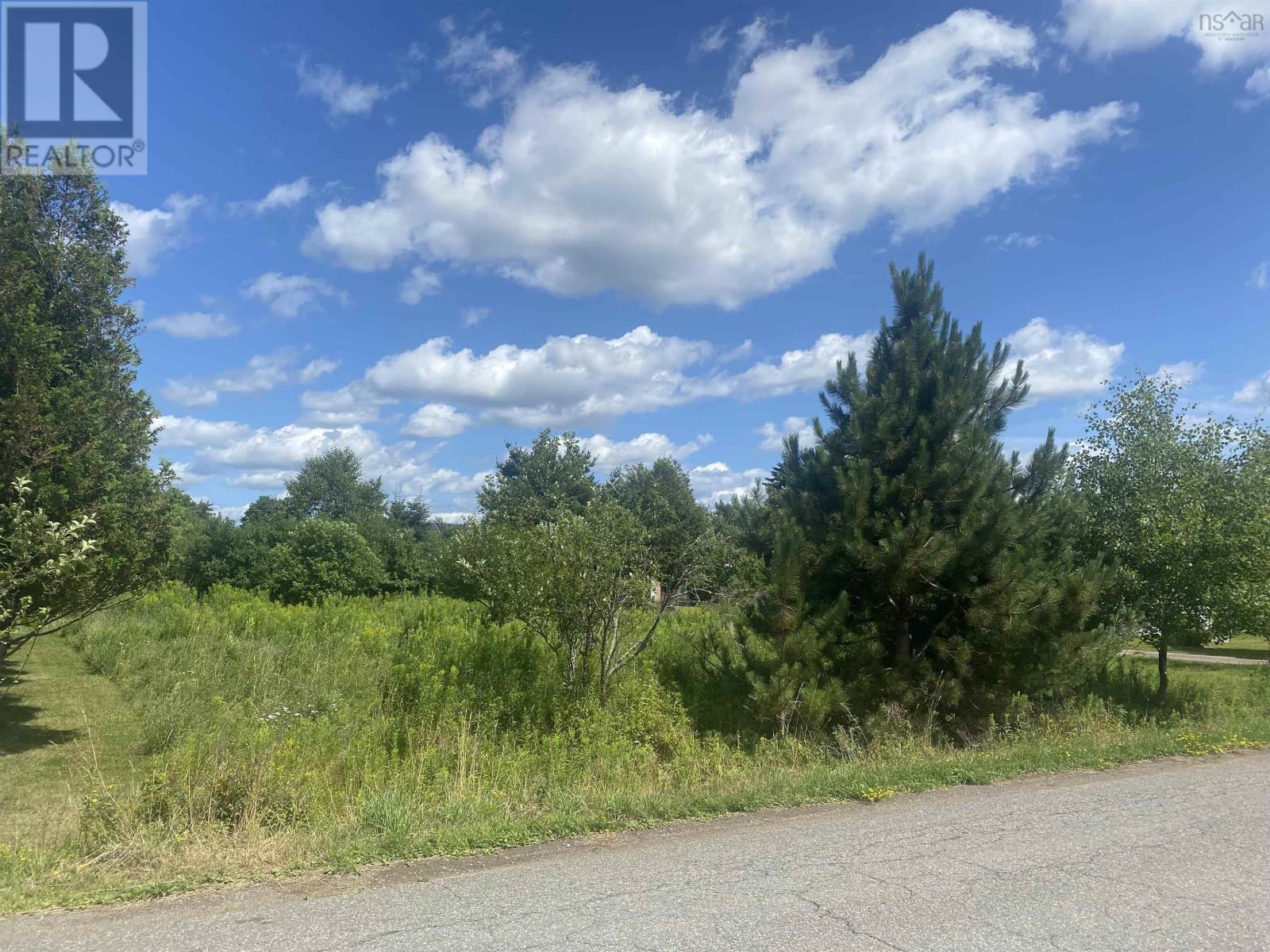 Lot 24 Old Court House Branch Road, Murray Siding, Nova Scotia  B6L 3X4 - Photo 1 - 202518538