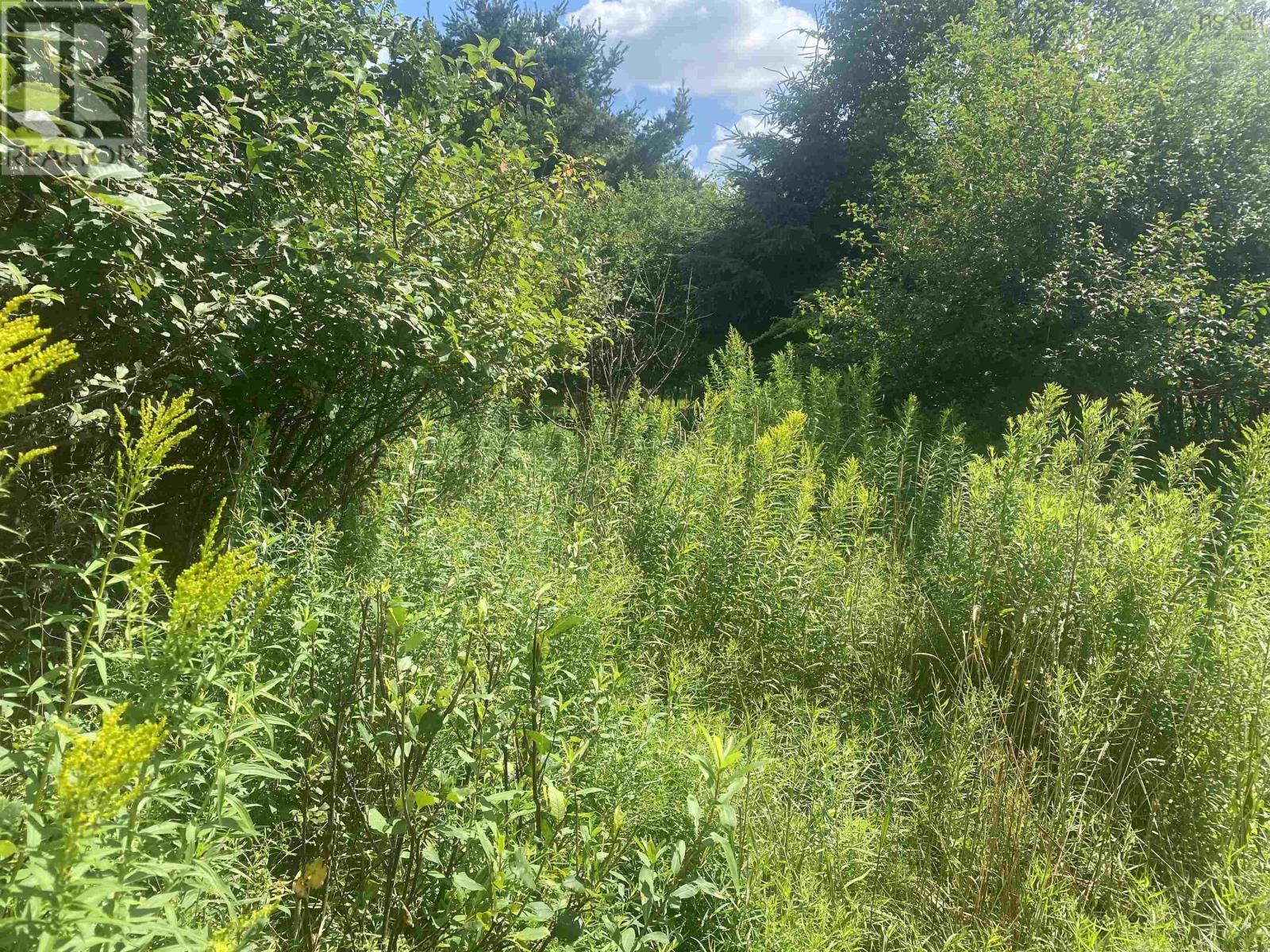 Lot 24 Old Court House Branch Road, Murray Siding, Nova Scotia  B6L 3X4 - Photo 3 - 202518538