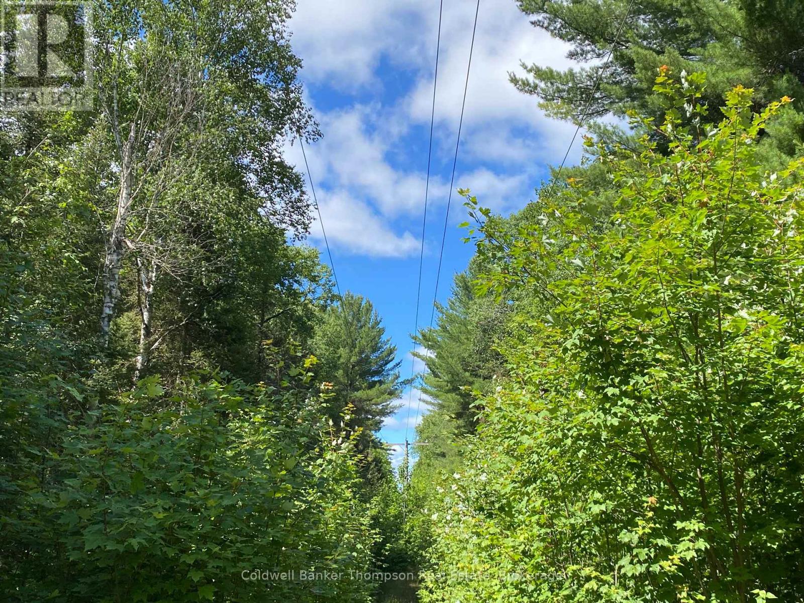 127 Chrest Drive, Machar, Ontario  P0A 1X0 - Photo 20 - X12307789