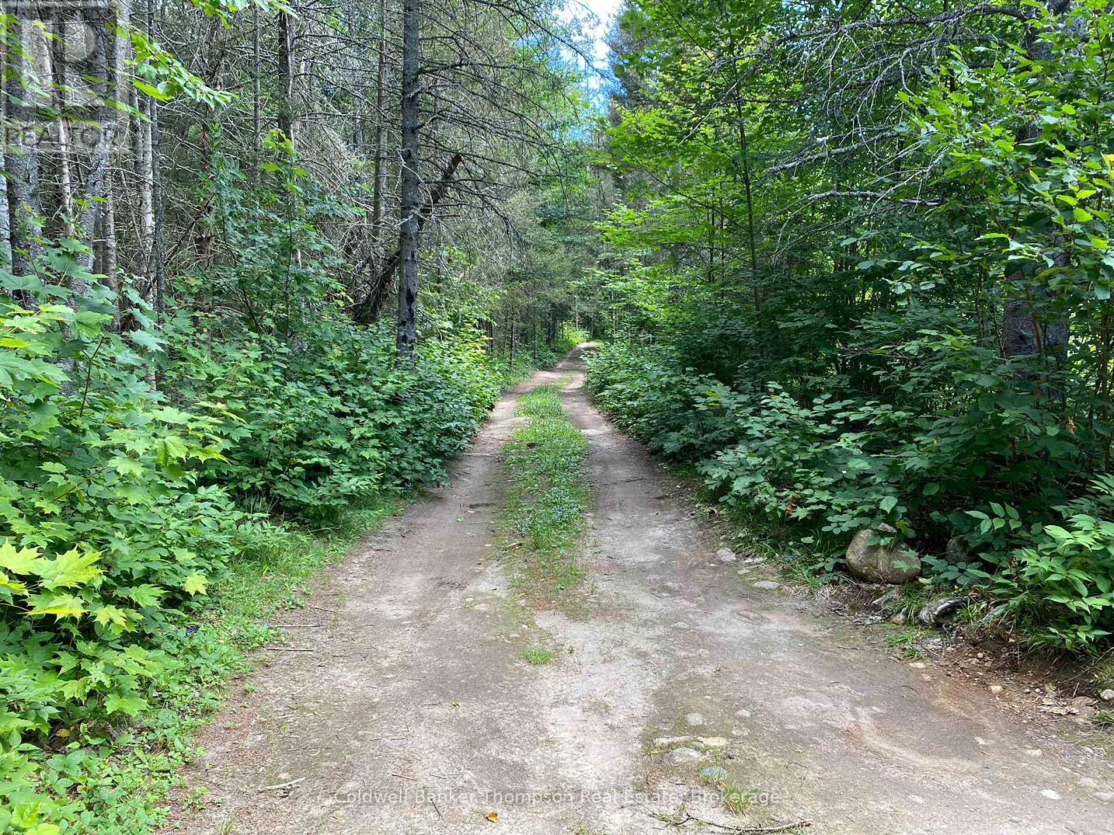 127 Chrest Drive, Machar, Ontario  P0A 1X0 - Photo 24 - X12307789