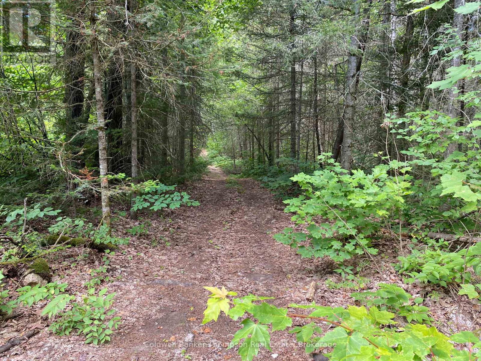 127 Chrest Drive, Machar, Ontario  P0A 1X0 - Photo 25 - X12307789