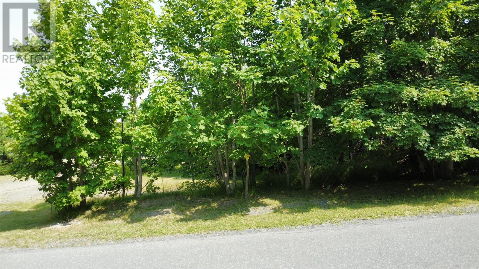 16 Brighton Place, Cbs, Newfoundland & Labrador  A1W 2E7 - Photo 7 - 1288089