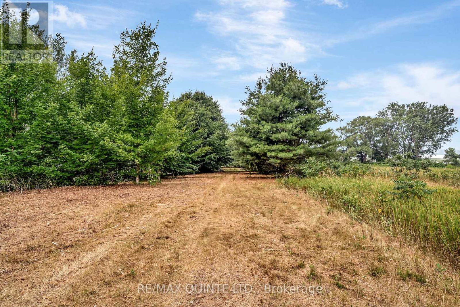 1462 County Road 12, Prince Edward County, Ontario  K0K 2T0 - Photo 35 - X12307944