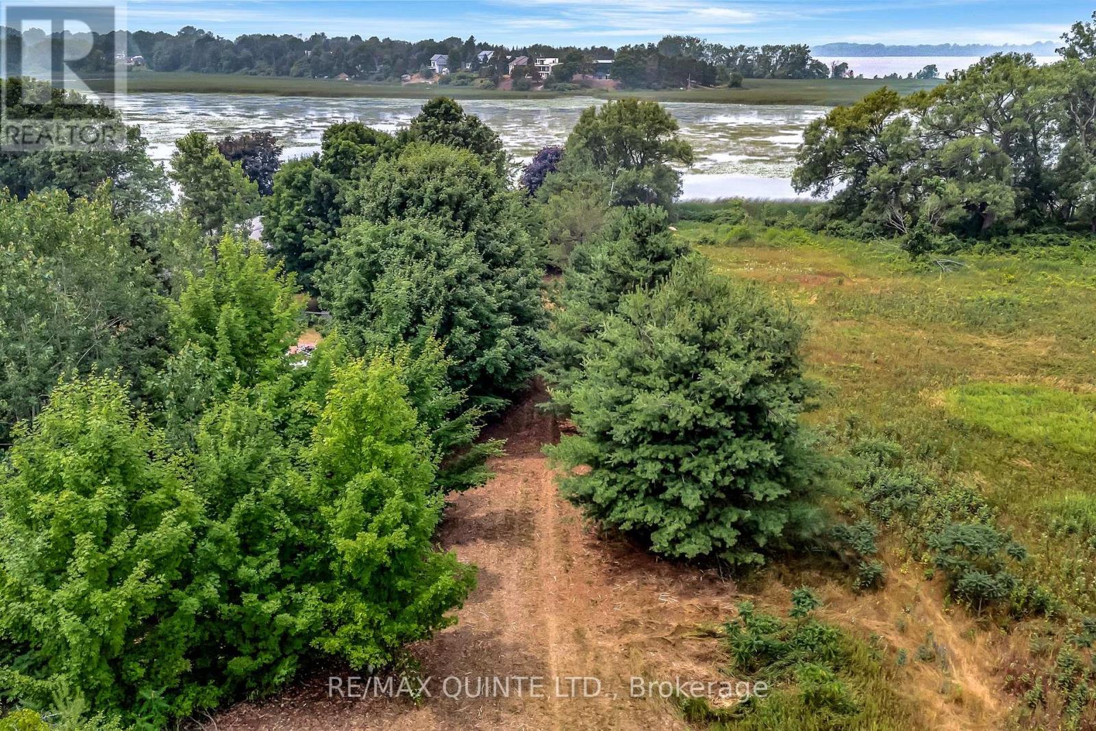 1462 County Road 12, Prince Edward County, Ontario  K0K 2T0 - Photo 46 - X12307944