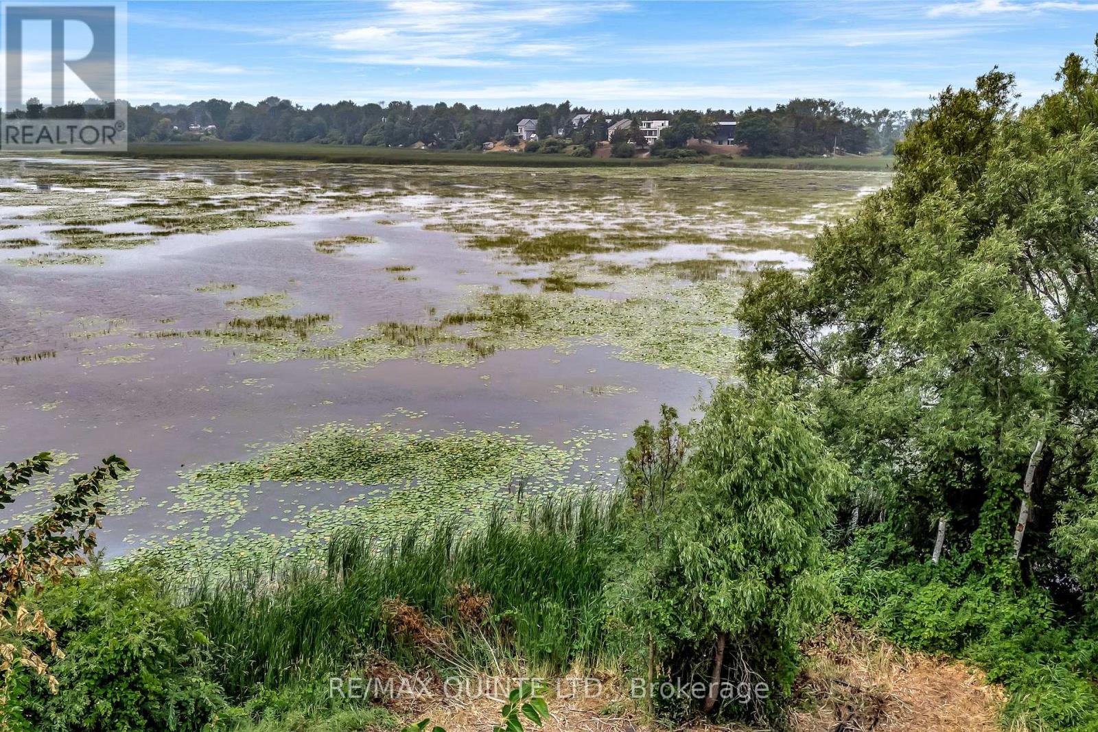 1462 County Road 12, Prince Edward County, Ontario  K0K 2T0 - Photo 47 - X12307944