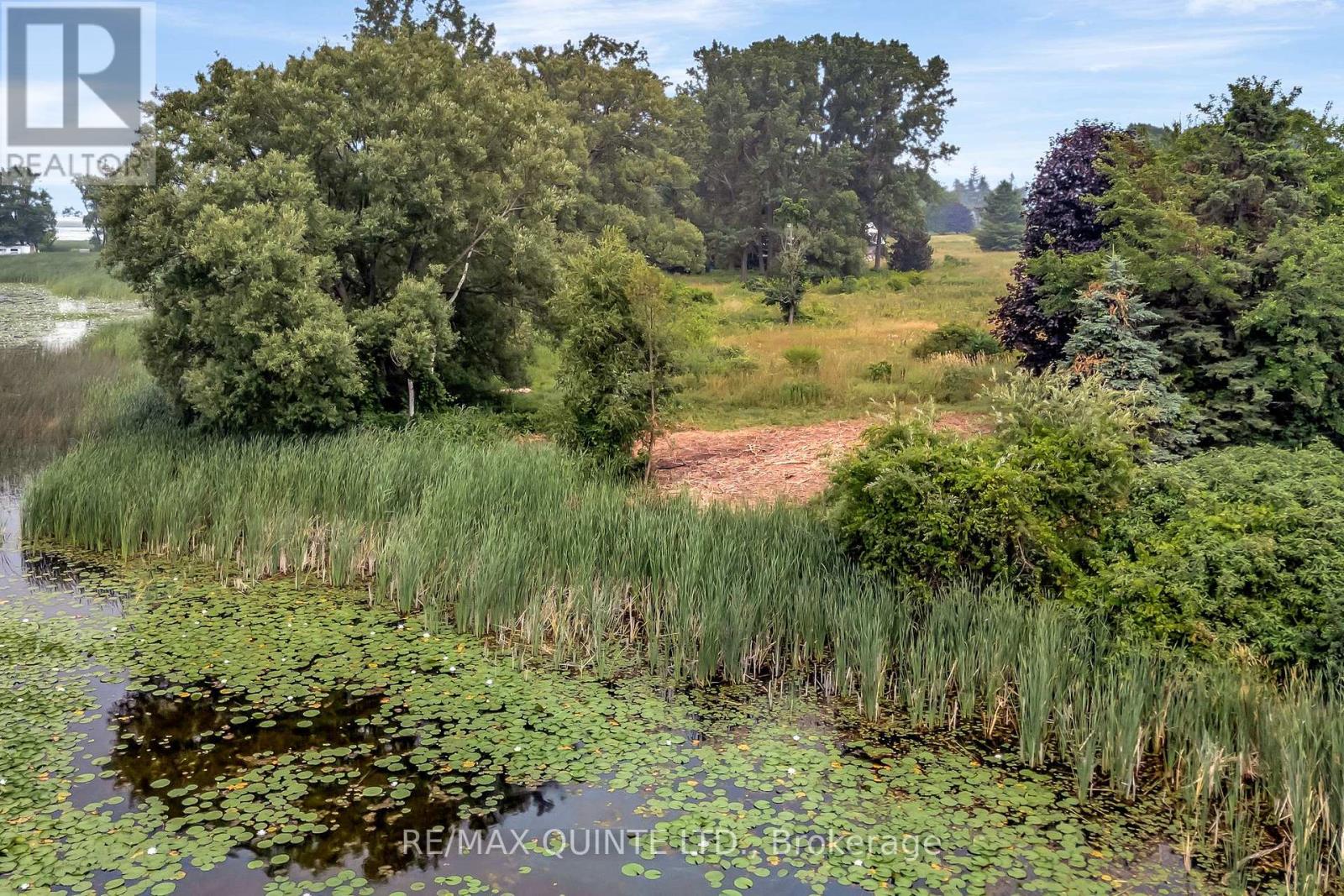 1462 County Road 12, Prince Edward County, Ontario  K0K 2T0 - Photo 48 - X12307944