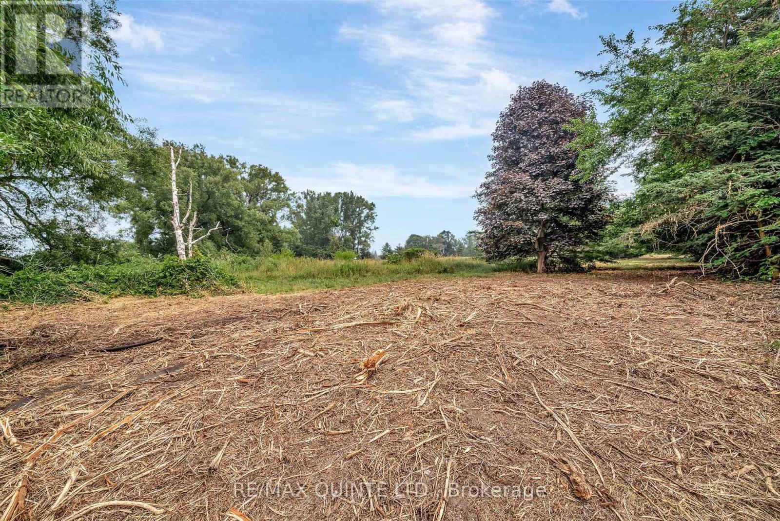 1462 County Road 12, Prince Edward County, Ontario  K0K 2T0 - Photo 50 - X12307944