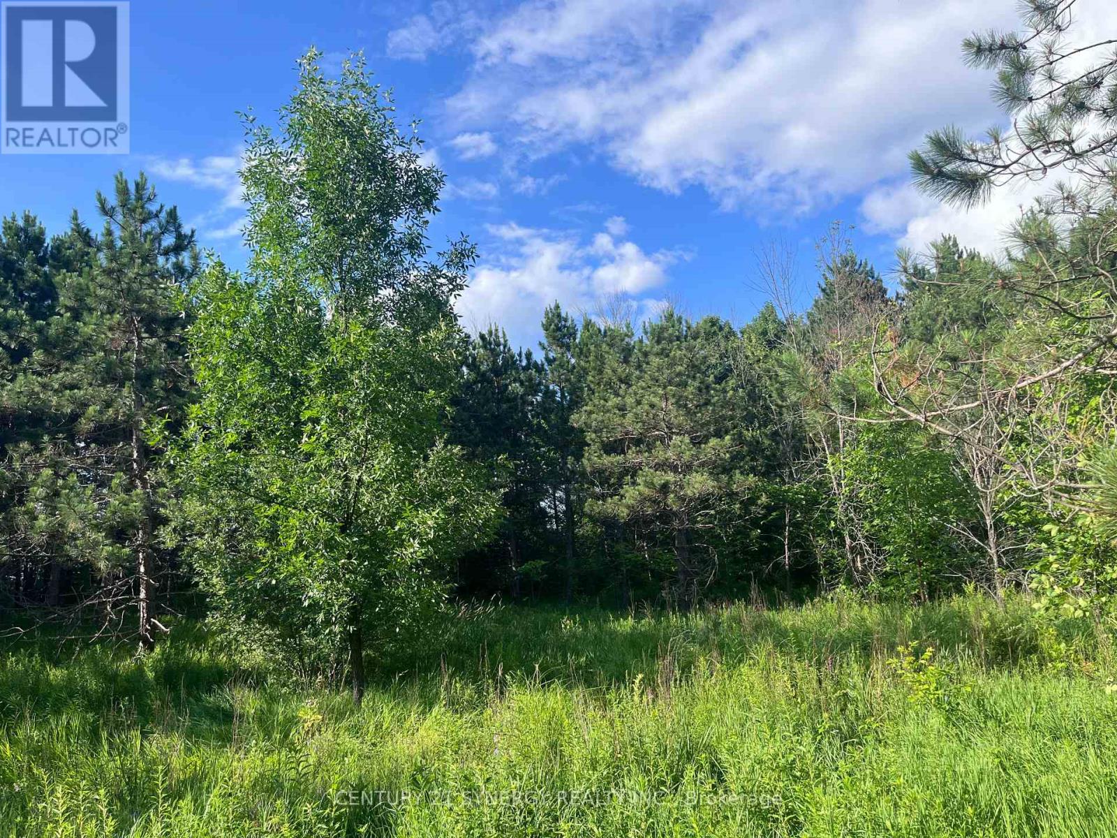 00 Russett Drive, Mcnab/braeside, Ontario  K7S 3G8 - Photo 14 - X12275599