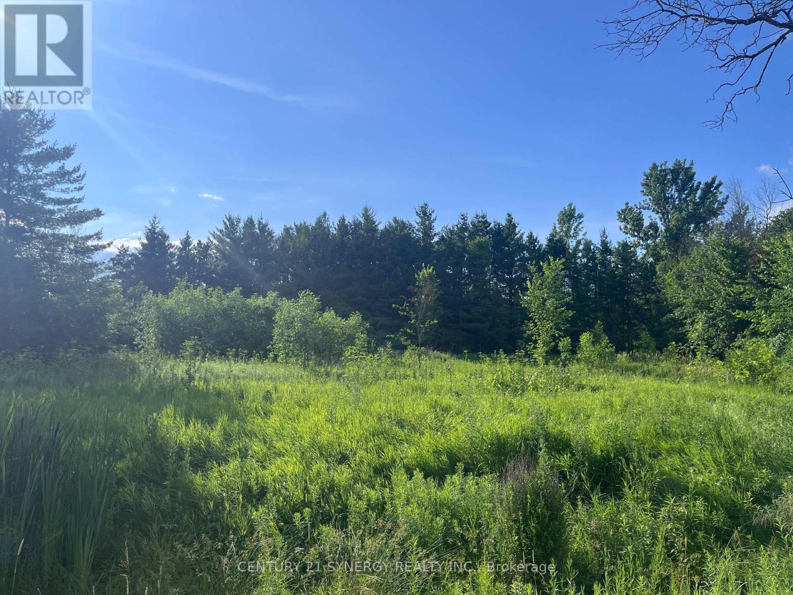 00 Russett Drive, Mcnab/braeside, Ontario  K7S 3G8 - Photo 15 - X12275599