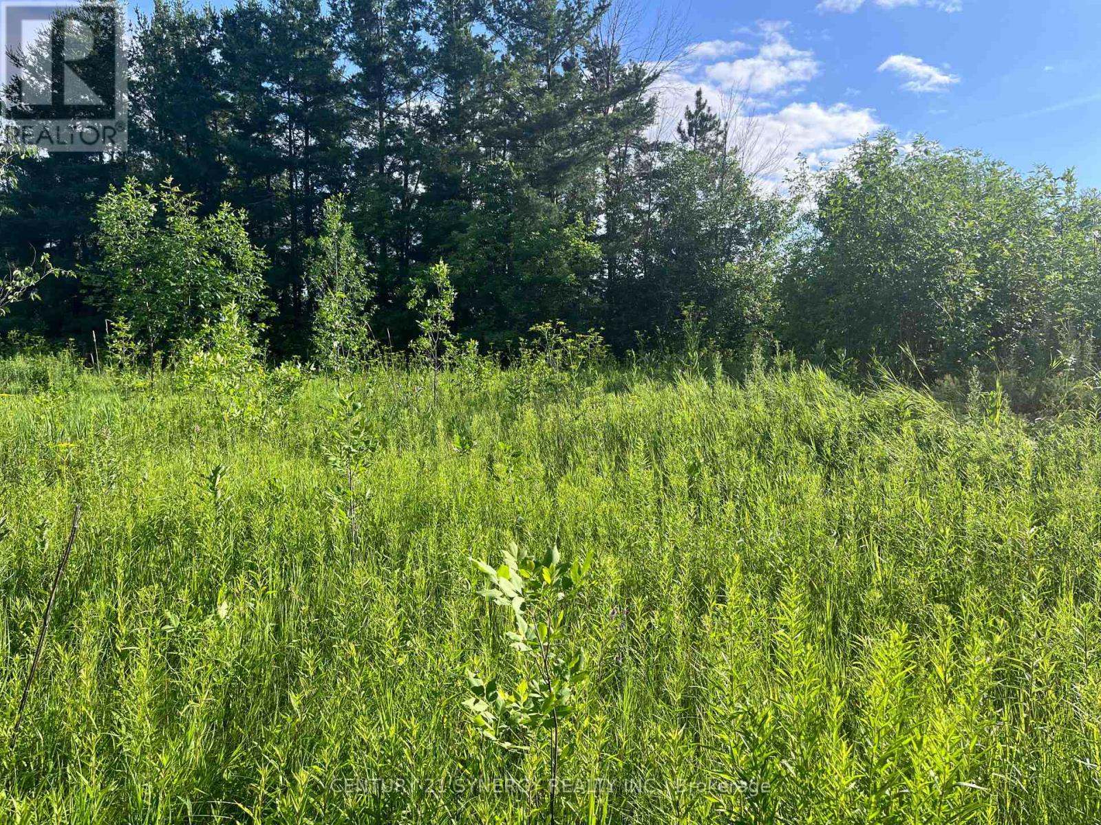 00 Russett Drive, Mcnab/braeside, Ontario  K7S 3G8 - Photo 18 - X12275599