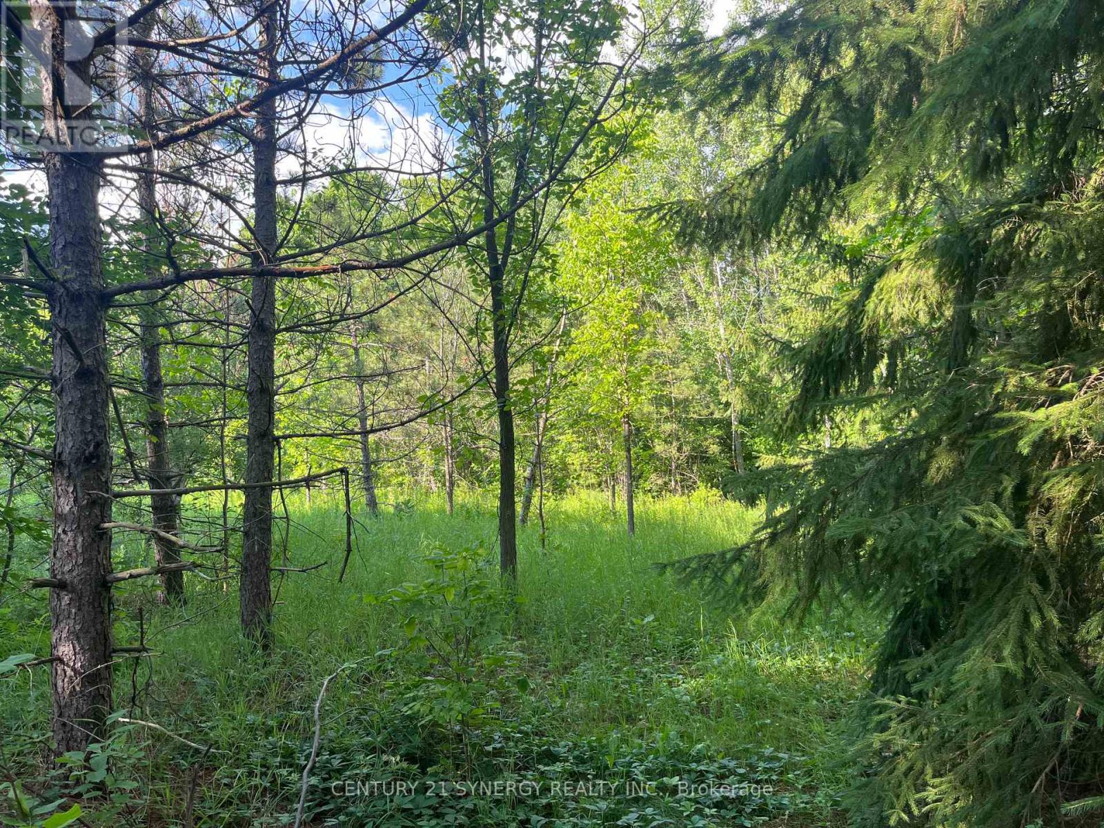 00 Russett Drive, Mcnab/braeside, Ontario  K7S 3G8 - Photo 20 - X12275599