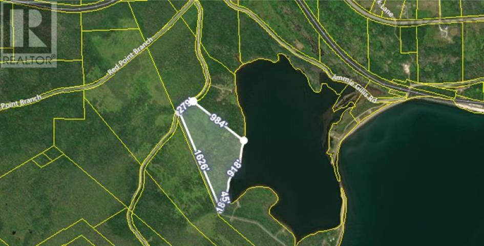 Red Point East Road, Red Point, Nova Scotia  B2C 1N7 - Photo 21 - 202518752