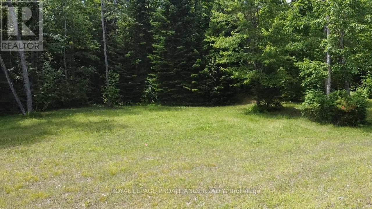 1033 Waterworth Lane, North Frontenac, Ontario K0H 2M0 - Photo 11 - X12308018