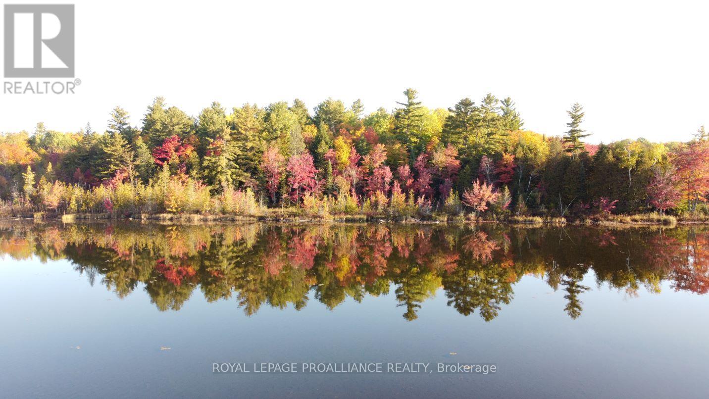 1033 Waterworth Lane, North Frontenac, Ontario K0H 2M0 - Photo 19 - X12308018