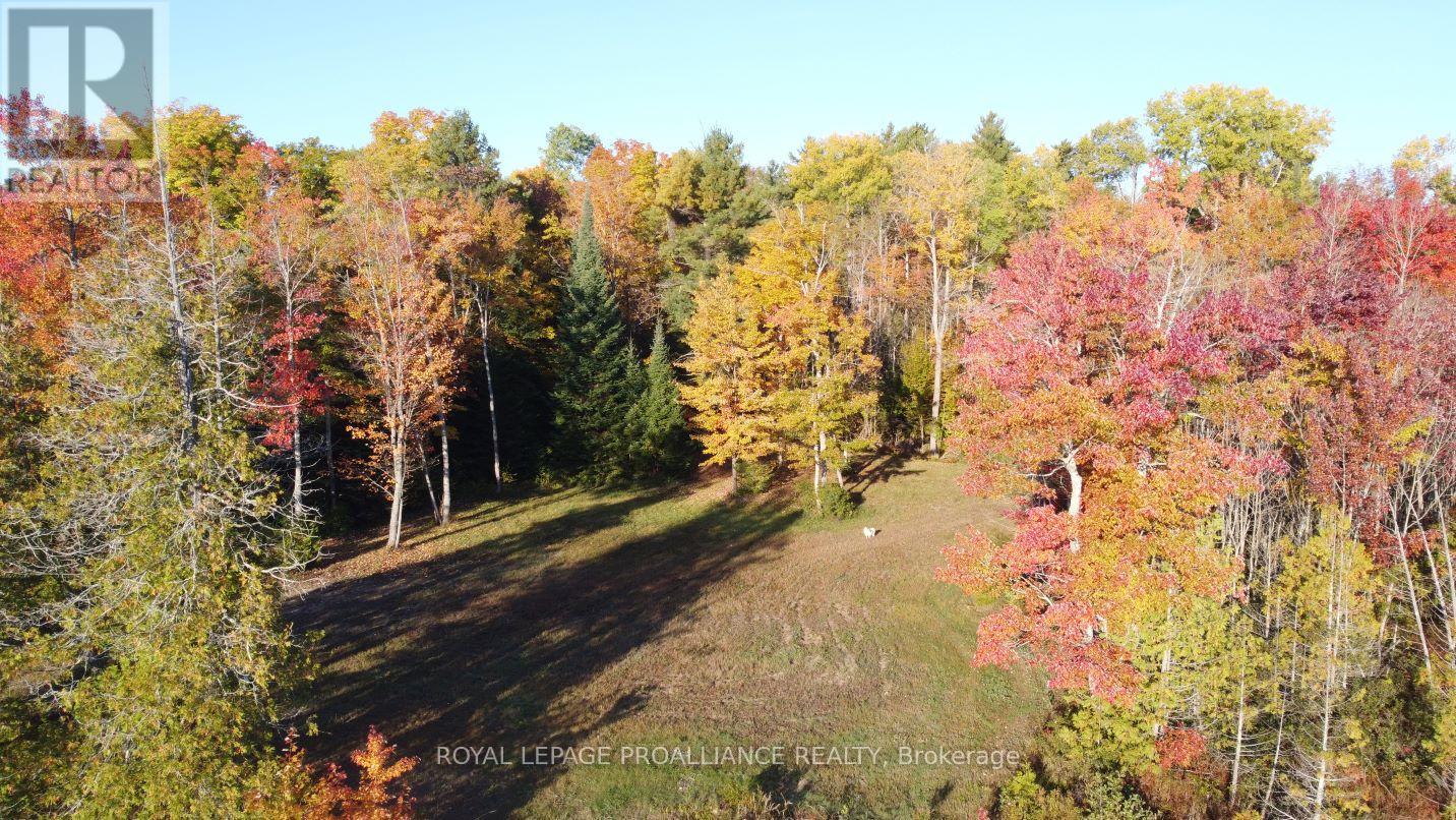 1033 Waterworth Lane, North Frontenac, Ontario K0H 2M0 - Photo 21 - X12308018