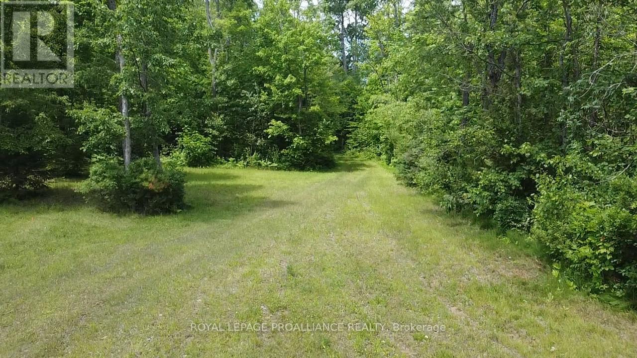 1033 Waterworth Lane, North Frontenac, Ontario K0H 2M0 - Photo 4 - X12308018