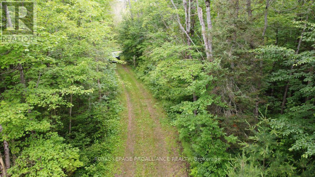 1033 Waterworth Lane, North Frontenac, Ontario K0H 2M0 - Photo 5 - X12308018