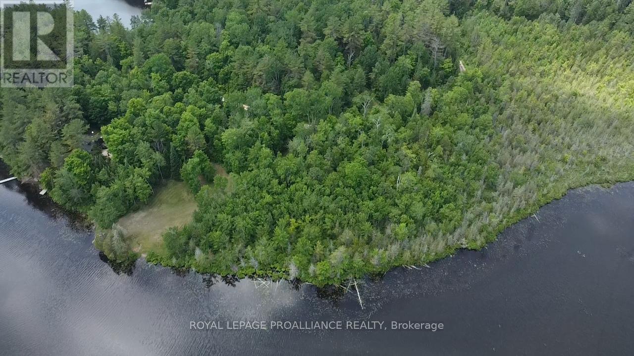 1033 Waterworth Lane, North Frontenac, Ontario K0H 2M0 - Photo 6 - X12308018