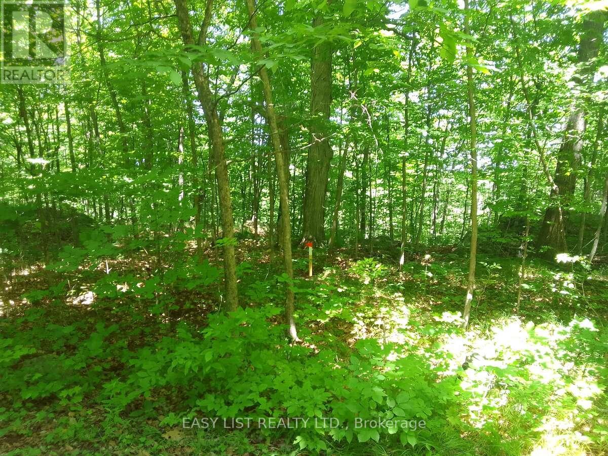 75 - 372 Murphy Road, Rideau Lakes, Ontario  K0G 1X0 - Photo 17 - X12308246