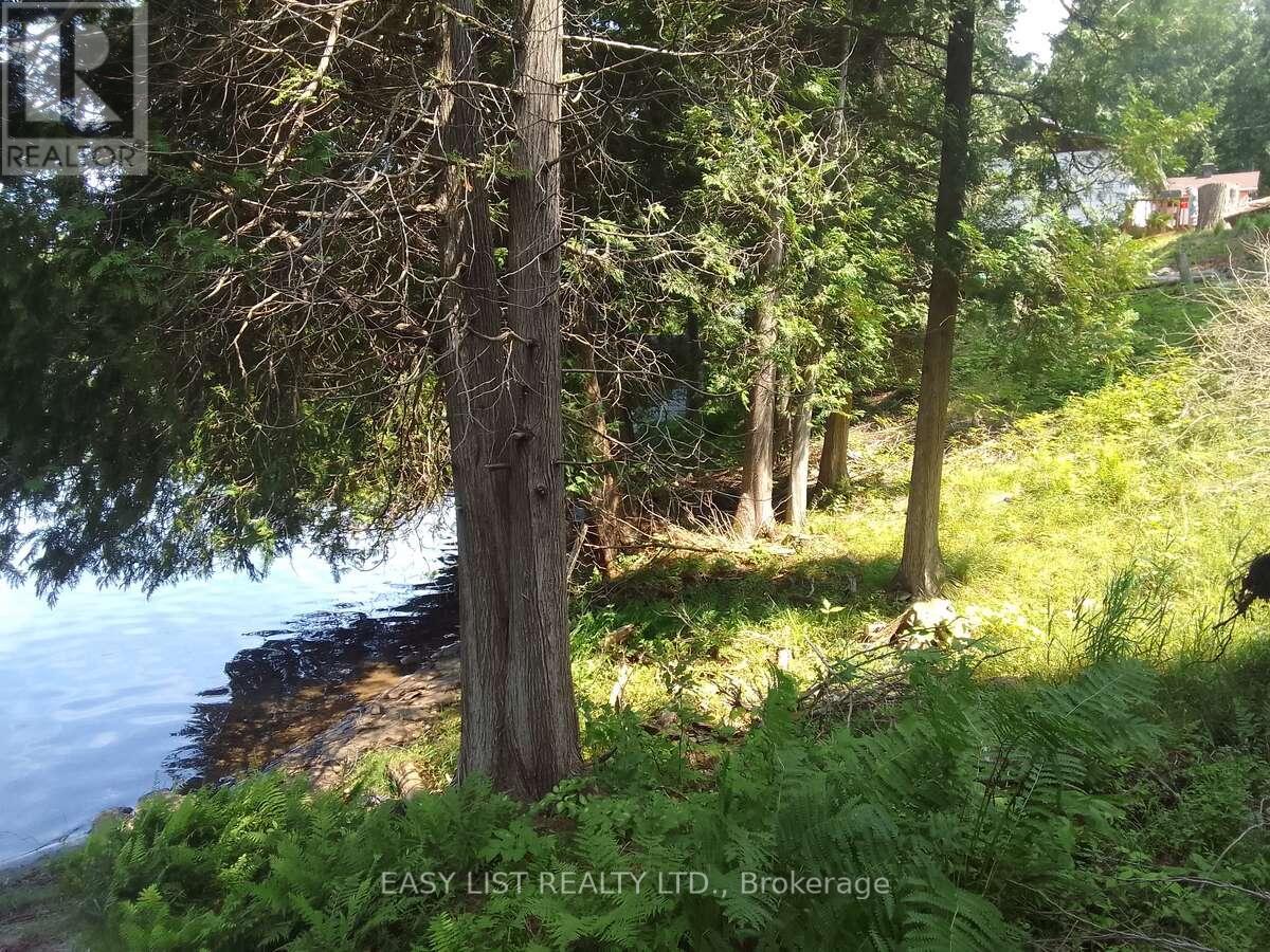 75 - 372 Murphy Road, Rideau Lakes, Ontario  K0G 1X0 - Photo 5 - X12308246