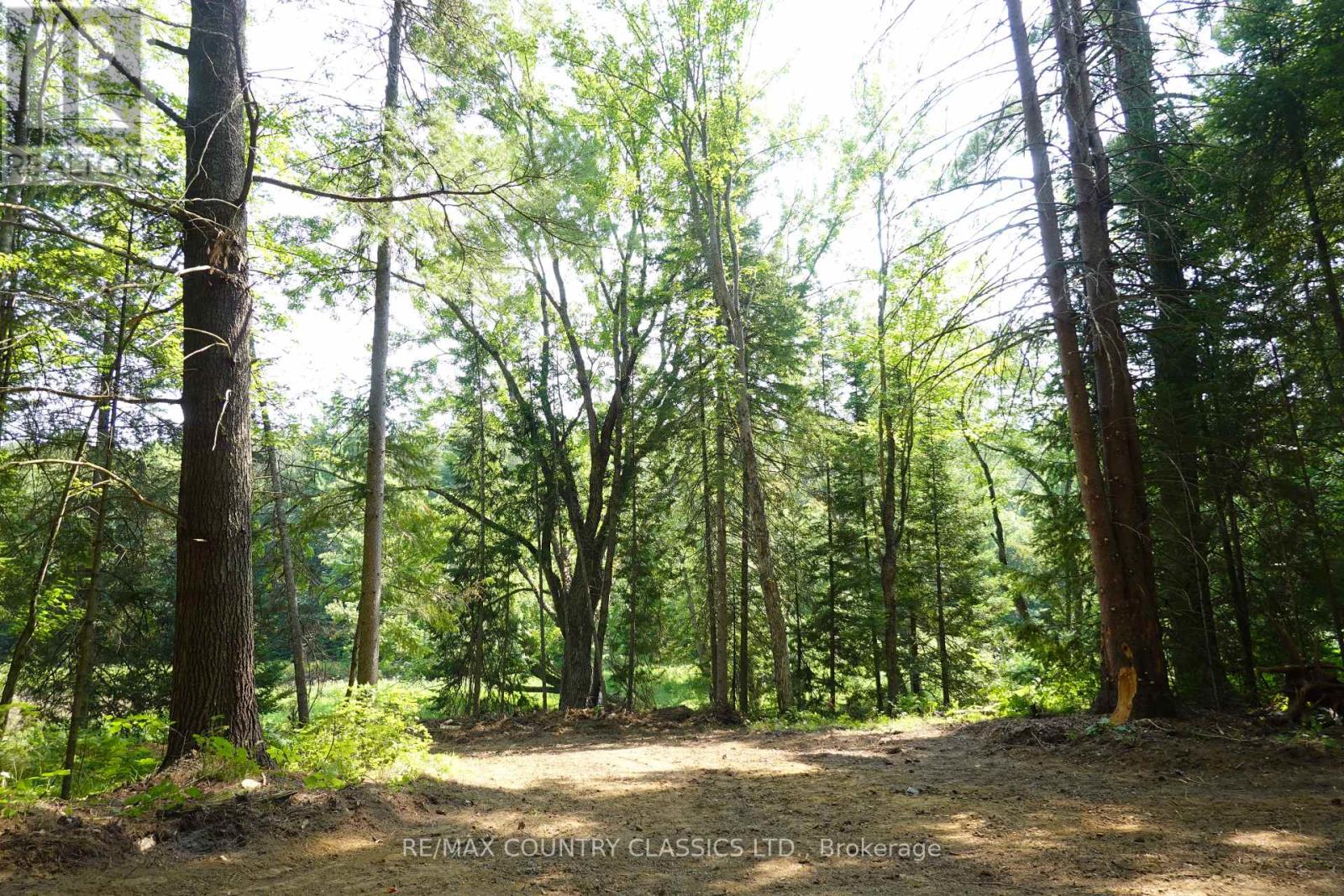 739b Bronson Road, Bancroft, Ontario  K0L 1C0 - Photo 11 - X12308360