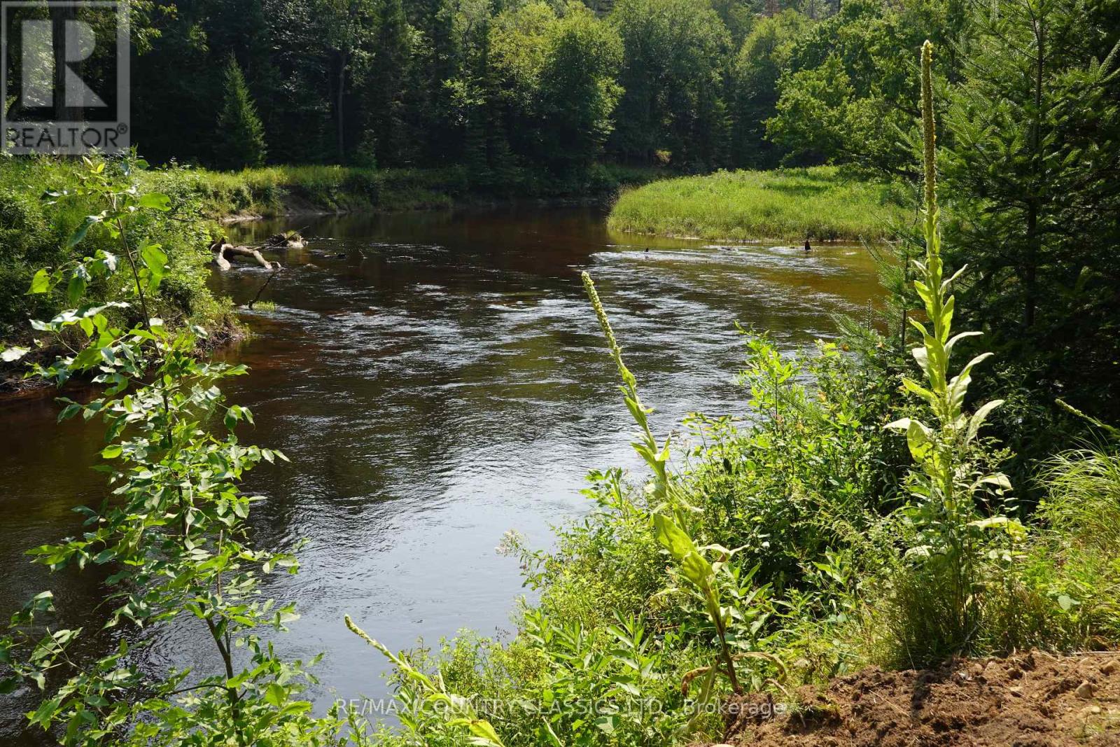 739b Bronson Road, Bancroft, Ontario  K0L 1C0 - Photo 13 - X12308360